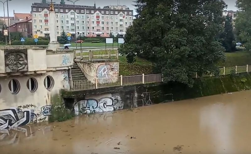 Zielone przestrzenie mogą zmniejszyć ryzyko powodzi miejskich